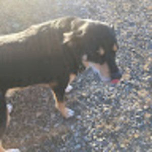 Meet your Posher, Jenny